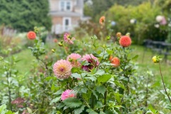 marthas-vineyard-hotel-gallery-4