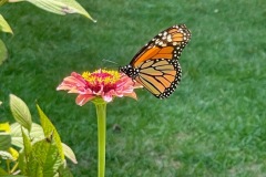 marthas-vineyard-hotel-gallery-6
