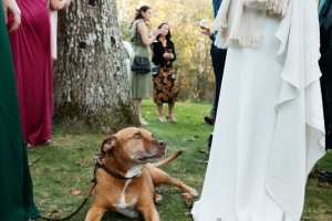 Caitlin-Jonah_Cocktail-3792