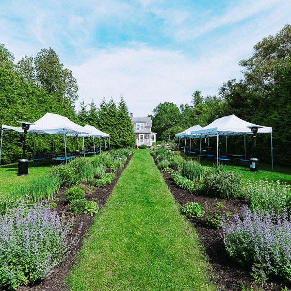 martha's vineyard hotel garden with tented tables