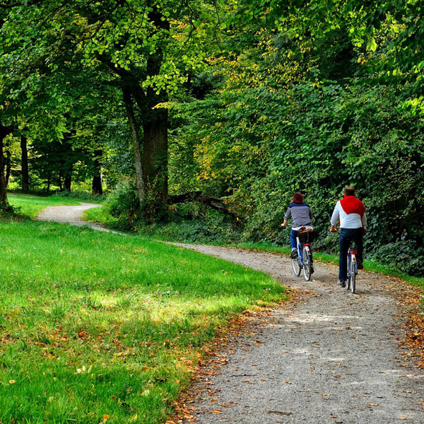 martha's vineyard hotel - resort amenities bicycles in woods