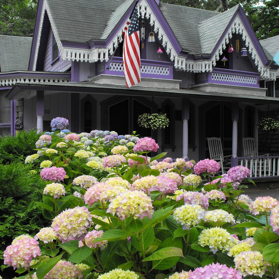 martha's vineyard things to do - oak bluffs