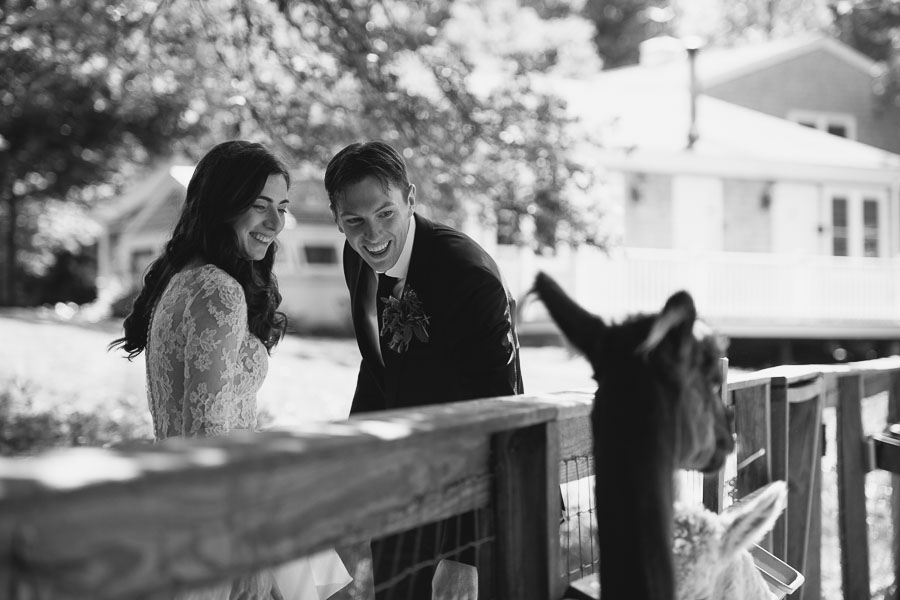 Claudia & Andrew ~ June 1st 2024 @ Lambert's Cove Inn & Resort